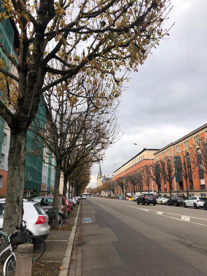 Studio Entier En Centre Ville Apartment Strasbourg Bagian luar foto